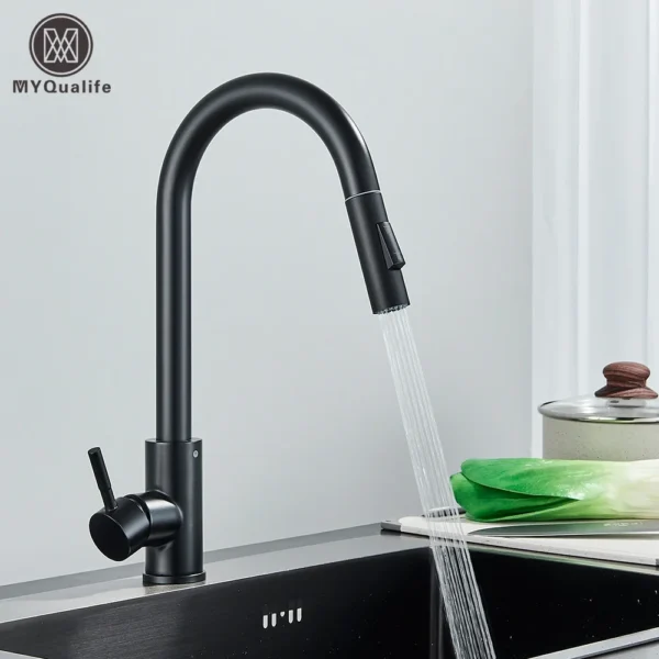 Robinet de cuisine noir à une poignée, mitigeur extractible à deux fonctions, robinets d'eau chaude et froide montés sur le pont